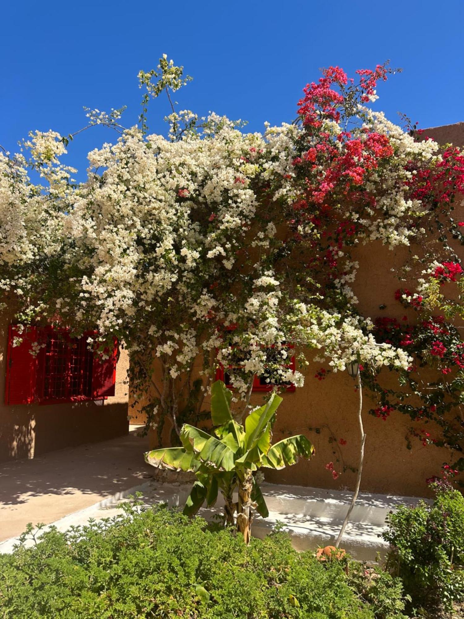 Dar Tawarta Guest House Ad-Dakhla Exterior foto